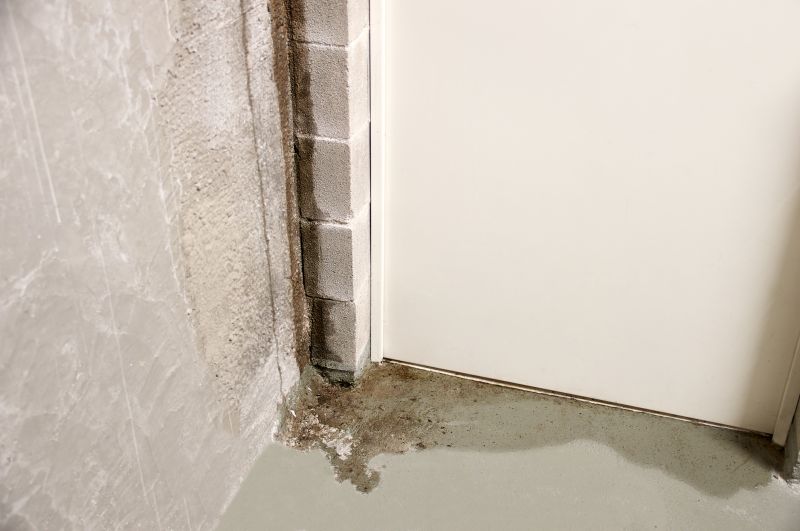 Foundation Leak Repair in Greenville, SC